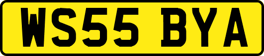 WS55BYA