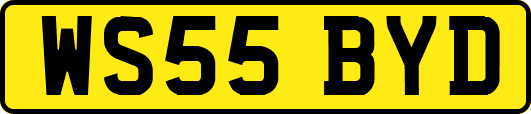 WS55BYD