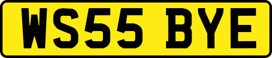WS55BYE