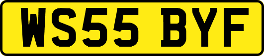 WS55BYF