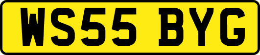 WS55BYG