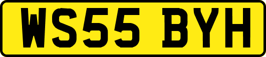 WS55BYH