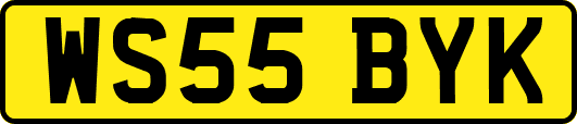 WS55BYK