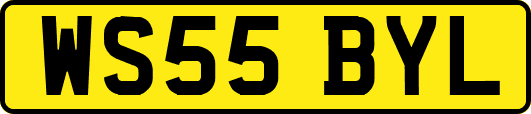 WS55BYL