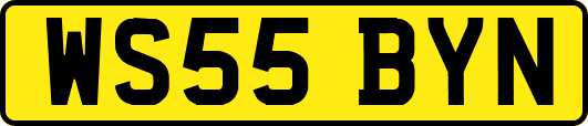 WS55BYN