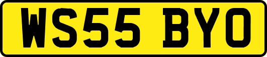 WS55BYO