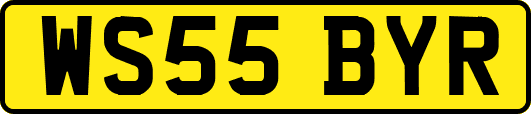 WS55BYR