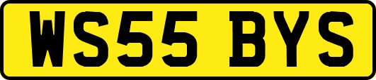 WS55BYS