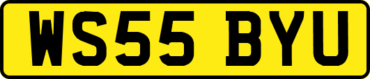 WS55BYU