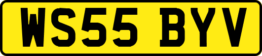 WS55BYV