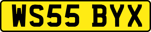 WS55BYX