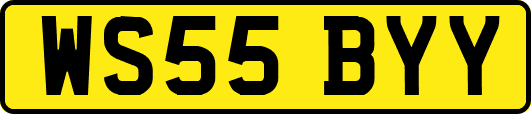 WS55BYY