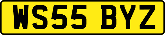 WS55BYZ