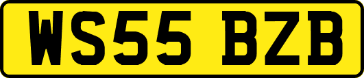 WS55BZB