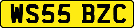 WS55BZC