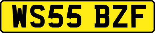 WS55BZF