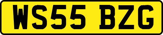 WS55BZG