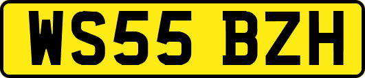WS55BZH