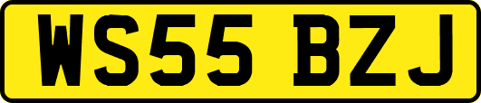 WS55BZJ