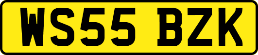 WS55BZK