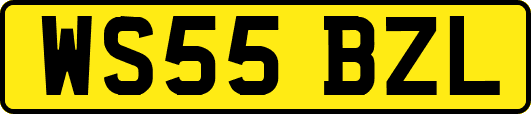 WS55BZL