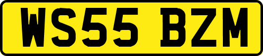 WS55BZM