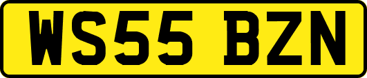WS55BZN
