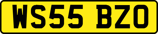 WS55BZO