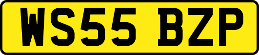 WS55BZP