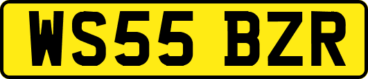 WS55BZR