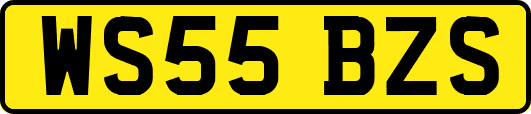 WS55BZS
