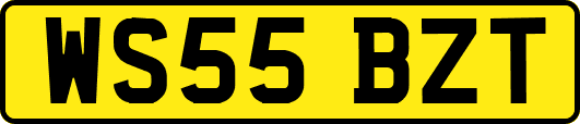WS55BZT