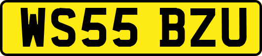 WS55BZU