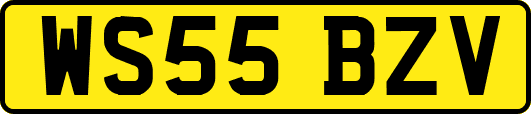WS55BZV