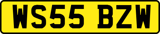 WS55BZW
