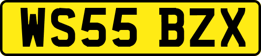 WS55BZX