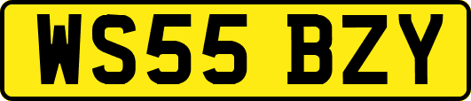 WS55BZY