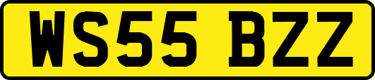 WS55BZZ
