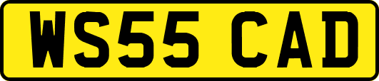 WS55CAD