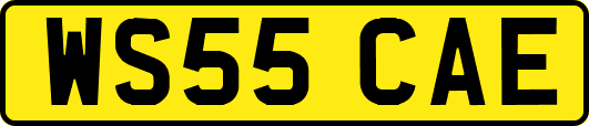 WS55CAE