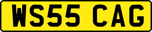 WS55CAG