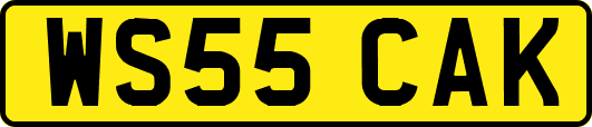 WS55CAK