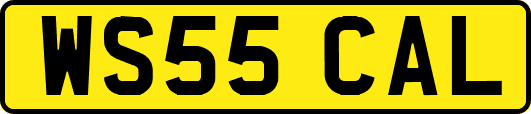 WS55CAL