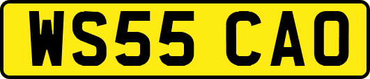 WS55CAO
