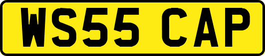 WS55CAP