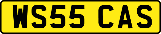WS55CAS