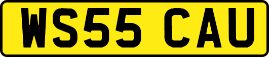 WS55CAU