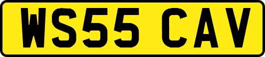 WS55CAV