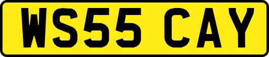 WS55CAY