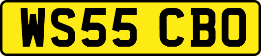 WS55CBO